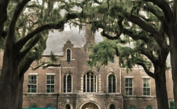 Tulane University Nurturing Excellence in Education